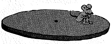 Chapter 12, Problem 21A, Perky rides at different radial distances from the center of a turntable that rotates at a fixed 