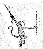 Chapter 2, Problem 40A, A monkey hangs by a strand of rope and holds onto the zoo cage as shown. Since her arm holding the 