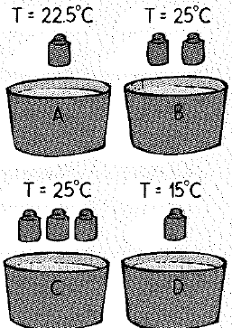 Chapter 21, Problem 21A, The four plastic-foam soup bowls contain the same amount of water at 20C. You also have a batch of 
