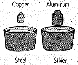 Chapter 21, Problem 22A, Four plastic-foam soup bowls contain the same amount of water at 20C. You dunk cylinders of , example  1