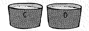 Chapter 21, Problem 22A, Four plastic-foam soup bowls contain the same amount of water at 20C. You dunk cylinders of , example  2