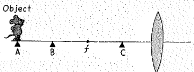 Chapter 30, Problem 18A, Depending on the location of Percy relative to the focal point of the converging lens (only one of 