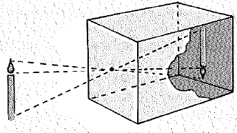 Chapter 30, Problem 43A, Make a pinhole camera, as illustrated in the figure. Cut out one end of a small cardboard box,- and 
