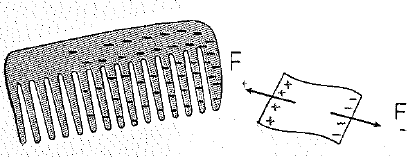 Chapter 32, Problem 41A, Figure 32.12 shows a negatively charged plastic comb attracting bits of paper with no net charge. If 