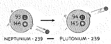 Chapter 40, Problem 34A, Why are there no appreciable deposits of plutonium in Earths crust? 