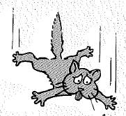 Chapter 6, Problem 51A, Why does a cat that falls from a 50-story building hit the safety net with no more speed than if it 