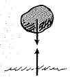 Chapter 7, Problem 7A, If the world pulls you downward against your chair, what is the reaction force? 