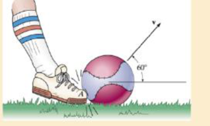 Chapter 15.2, Problem 1P, A man kicks the 150-g ball such that it leaves the ground at an angle of 60 and strikes the ground 