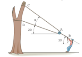 Chapter 3.3, Problem 7P, The man attempts to pull down the tree using the cable and small pulley arrangement shown. If the 