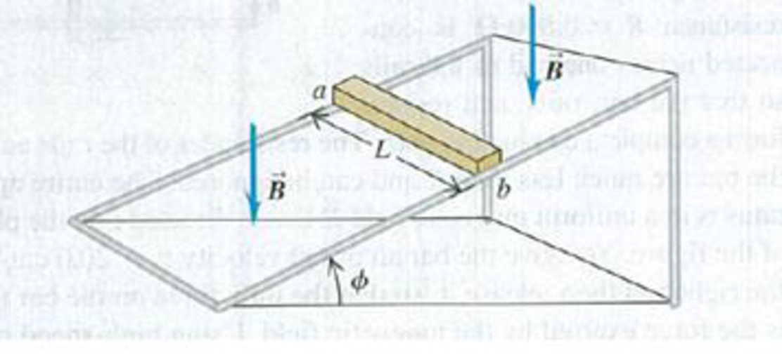 Chapter 29, Problem 29.69CP, A metal bar with length L, mass m, and resistance R is placed on frictionless metal rails that are 
