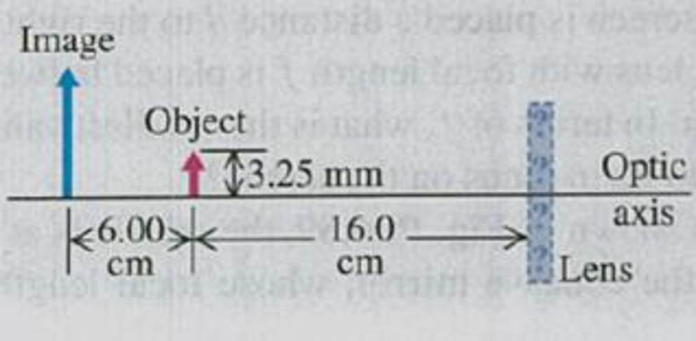 Chapter 34, Problem 34.81P, Figure P34.81 shows an object and its image formed by a thin lens. (a) What is the focal length of 