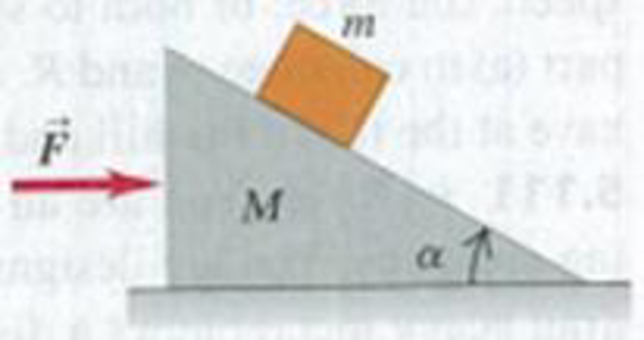 Chapter 5, Problem 5.112CP, Moving Wedge. A wedge with mass M rests on a friction less, horizontal tabletop. A block with mass m , example  2