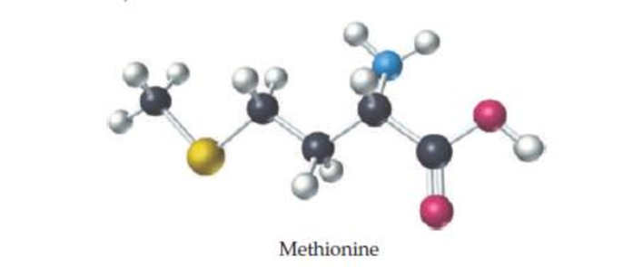 Chapter 6, Problem 6.15UKC, Methionine, an amino acid used by organisms to make proteins, can be represented by the following 