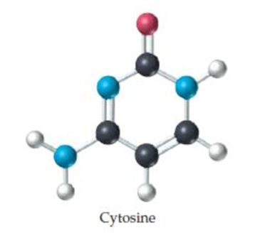 Chapter 6.1, Problem 6.4KCP, What is the molecular weight of cytosine, a component of DNA (deoxyribonucleic acid)? (black = C, 