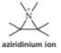 Chapter 11, Problem 80P, An ion with a positively charged nitrogen atom in a three-membered ring is called an aziridinium 