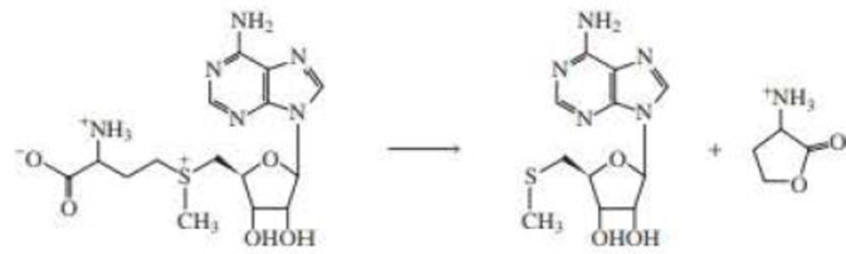 Chapter 10.12, Problem 54P, Propose a mechanism for the following reaction: 