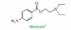 Chapter 19, Problem 107P, Show how Novocain, a painkiller used frequently by dentists, can be prepared from benzene and 
