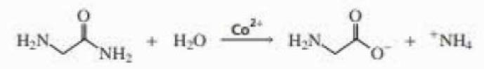 Chapter 22.5, Problem 8P, Propose a mechanism for the Co2+ catalyzed hydrolysis of glycinamide. 