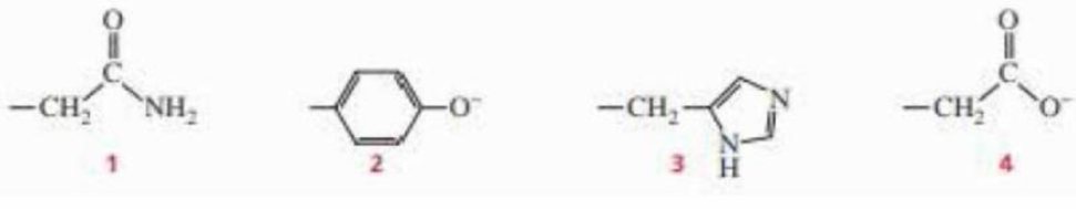 Chapter 22.9, Problem 15P, Which of the following amino acid side chains can help remove a proton from the -carbon of an 