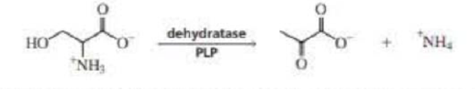 Chapter 24, Problem 33P, Dehydratase is a PLP-requiring enzyme that catalyzes an ,-elimination reaction. Propose a mechanism 