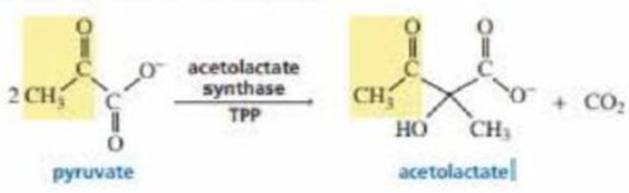 Chapter 24.3, Problem 10P, Acetolactate synthase transfers the acyl group of pyruvate to -ketobutyrate. This is the first step 