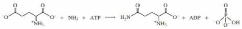 Chapter 26, Problem 25P, Propose a mechanism for the following reaction: 