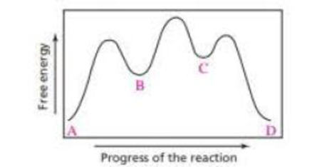 Chapter 5.10, Problem 33P, a. Which step in the reaction coordinate diagram shown here has the, greatest free energy of 