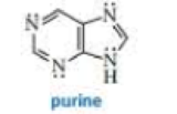 Chapter 8, Problem 79P, Purine is a heterocyclic compound with four nitrogen atoms. a. Which nitrogen is most apt to be 