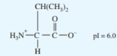 Chapter 9, Problem 9.55PP, Valine has the zwitterion structure shown in the following figure. What form of valine will 