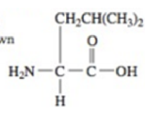 Chapter 9, Problem 9.92CP, Explain why the following amino acid cannot exist in the form shown in aqueous solution: 