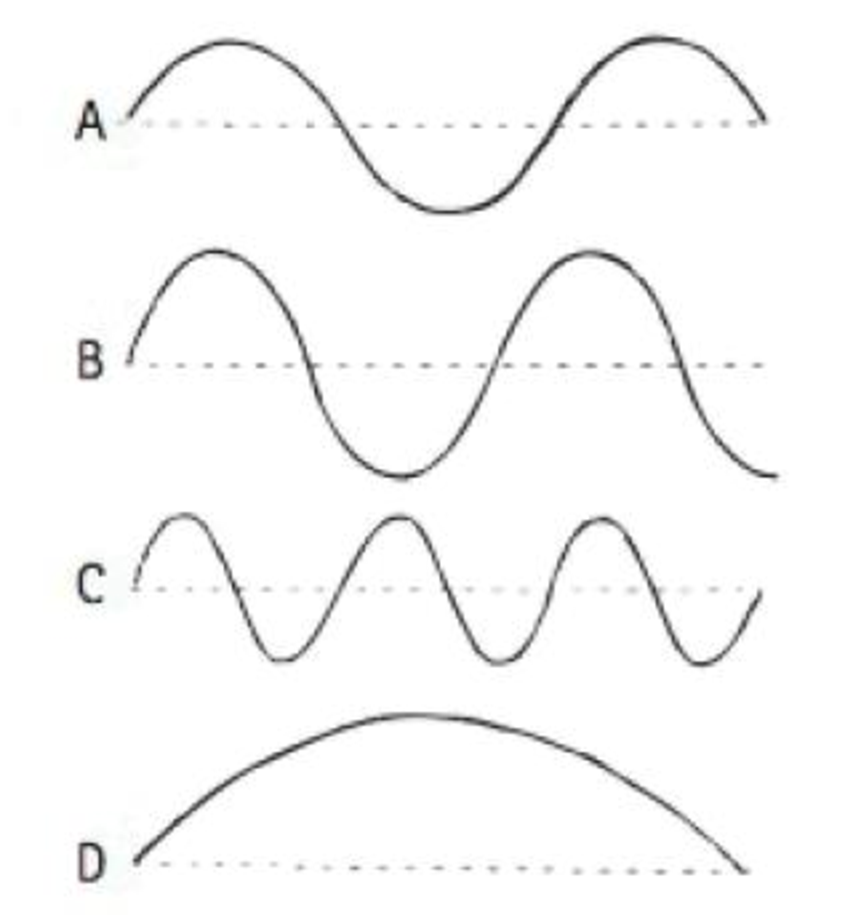 Chapter 10, Problem 61TAR, All the waves shown have the same speed b: the same medium. Use a ruler and rank these waves, from 