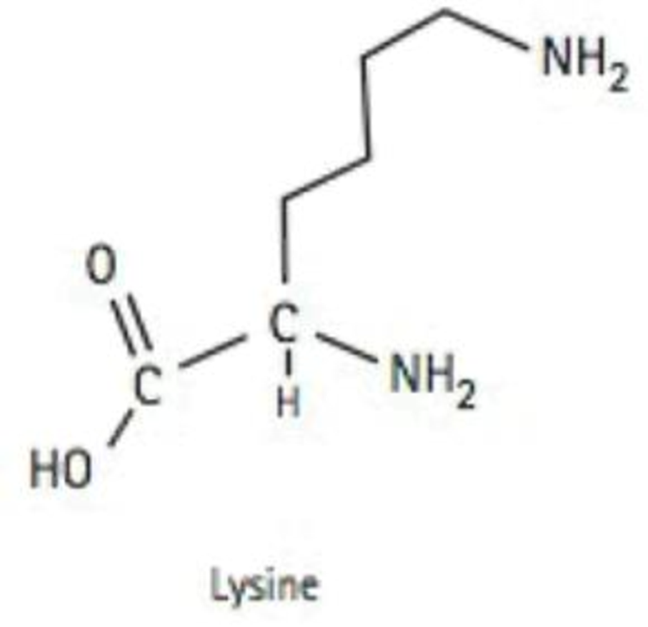 Chapter 19, Problem 62E, The amino acid lysine is shown below. What functional group must be removed in order to produce 