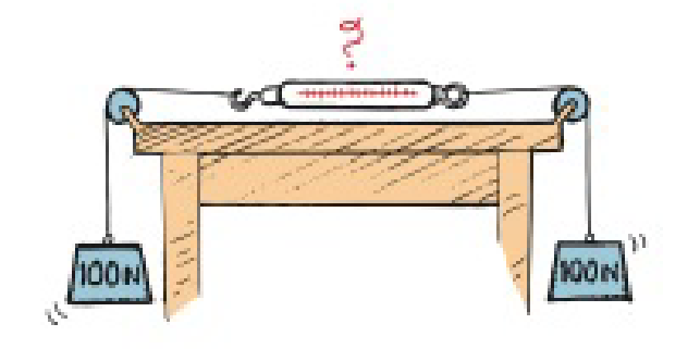 Chapter 2, Problem 82E, Two 100-N weights are attached to a spring scale as shown. Does the scale read 0 N, 100 N, or 200 N, 