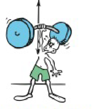 Chapter 2, Problem 84E, When the athlete holds the barbell overhead, the reaction force is the weight of the barbell on his 