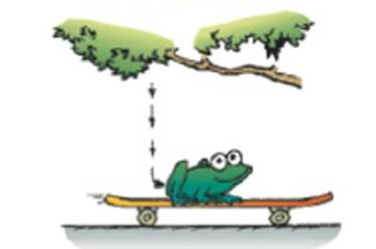 Chapter 3, Problem 91E, Freddy Frog drops vertically from a tree onto a horizontally moving skateboard. The skateboard 