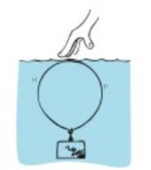 Chapter 5, Problem 123DQ, A balloon is weighted so that it is barely able to float in water. If it is pushed beneath the 