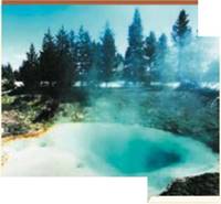 Chapter 20, Problem 15TYU, The water in the Yellowstone National Park hot springs shown here is around 160F (70C). Biologists 