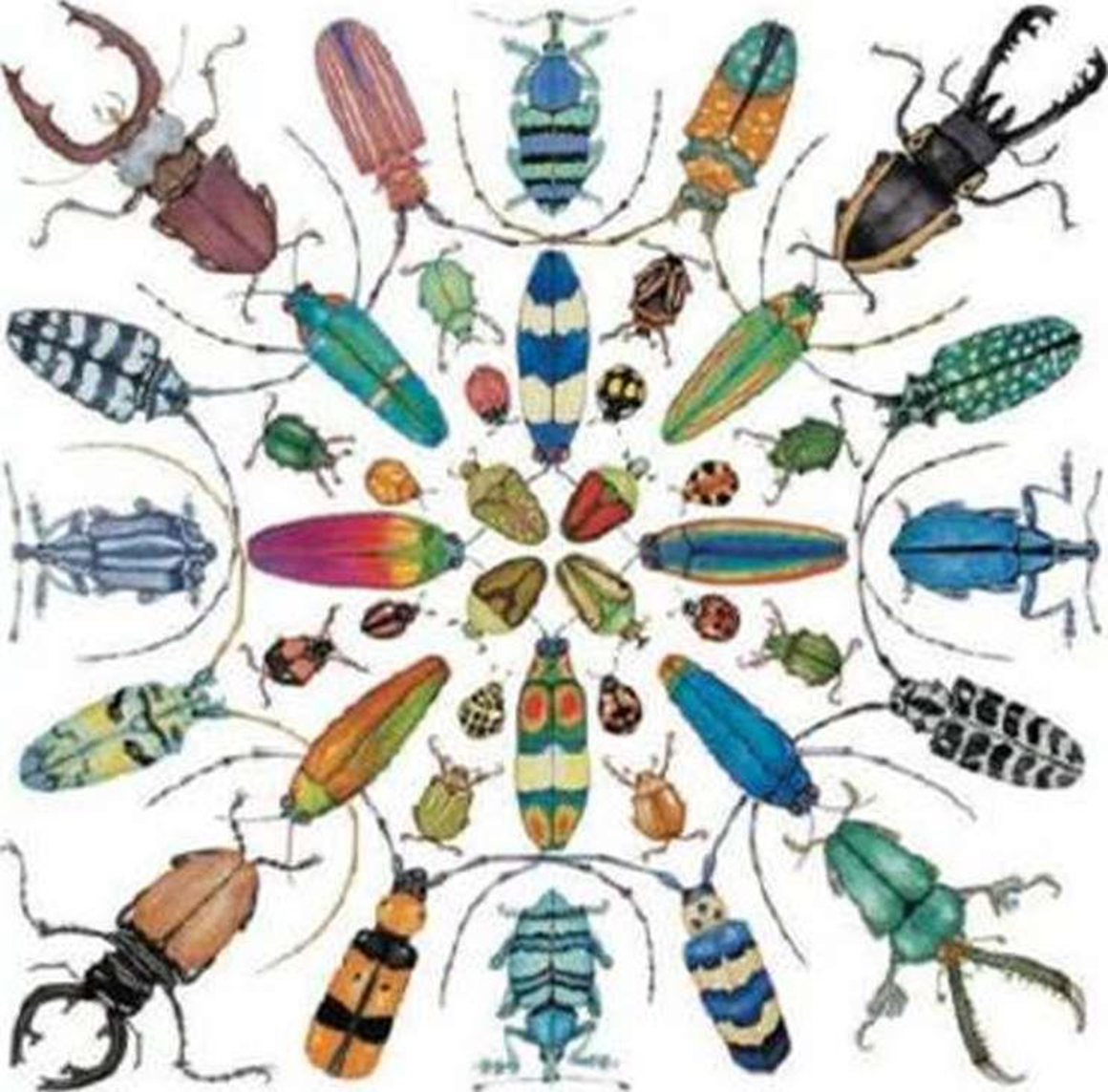 Chapter 33, Problem 10TYU, SYNTHESIZE YOUR KNOWLEDGE Colleclively, do these beetles and all other invertebrate species combined 