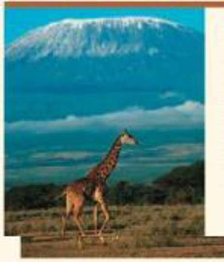 Chapter 52, Problem 13TYU, SYNTHESIZE YOUR KNOWLEDGE If you were to hike up Mount Kilimanjaro in Tanzania, you would pass 