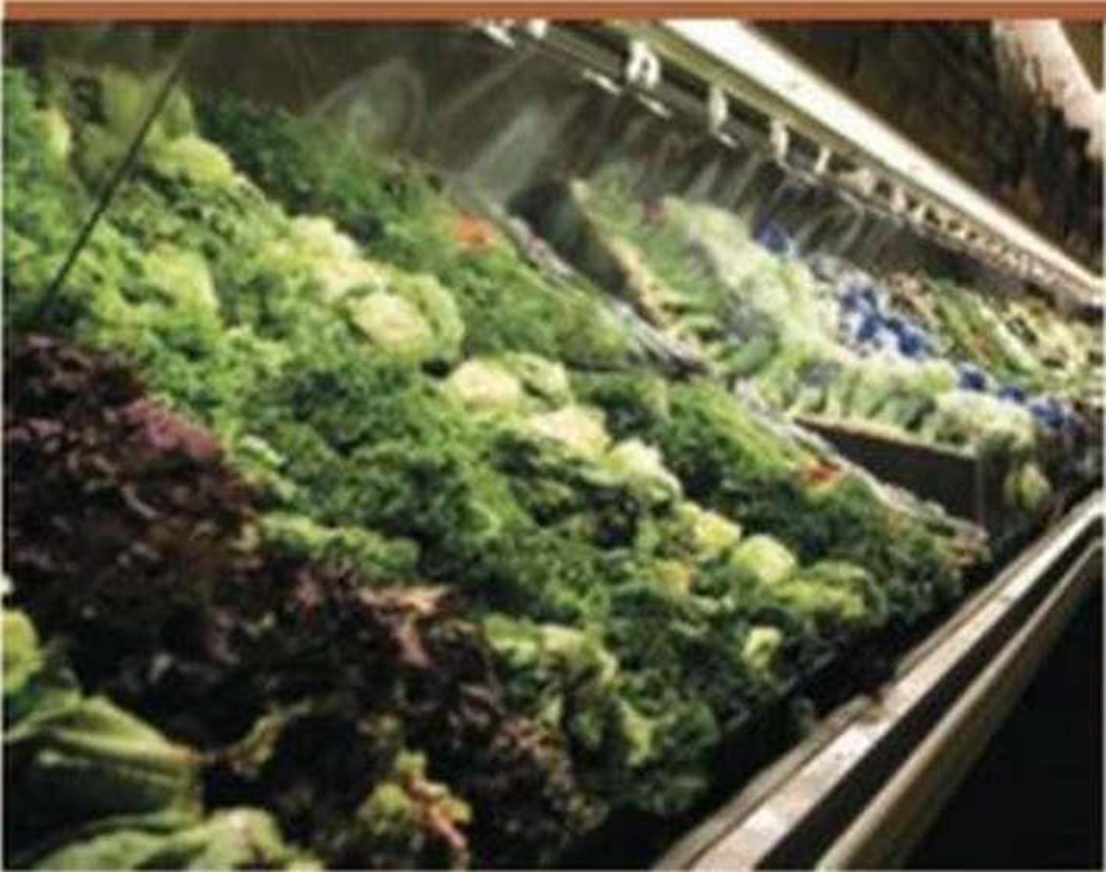 Chapter 7, Problem 11TYU, SYNTHESIZE YOUR KNOWLEDGE In the supermarket, lettuce and other produce are often sprayed with 