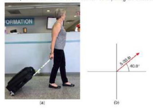 Chapter 8.1, Problem 14P, A traveler is pulling a suitcase at an angle 40.0 with the horizontal (Fig. 8.9). If she exerts a 