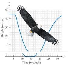 Chapter 3.2, Problem 75ES, The flight of an eagle is observed for 30 seconds. The graph shows the eagle’s height, in meters, 