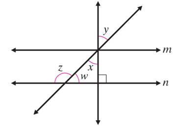 Chapter 10.3, Problem 63E, Recall that the sum of the measures of the interior angles of a triangle equals 180. Use this 