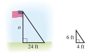 Chapter 10.7, Problem 19E, A flagpole casts a shadow. At the same time, a small tree casts a shadow. Use the sketch to find the 