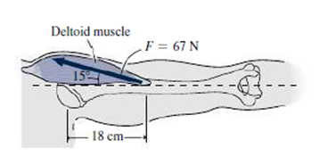 Chapter 11, Problem 21E, When you hold your arm outstretched, its supported primarily by the deltoid muscle. Figure 11.13 
