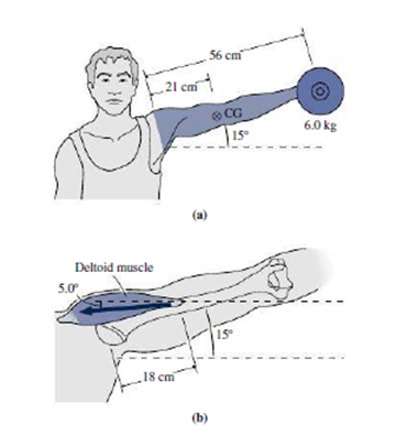Chapter 12, Problem 25P, Figure 12.17a shows an outstretched arm with mass 4.2 kg. The arm is 56 cm long, and its center of 