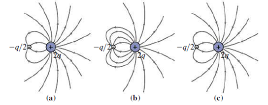 Chapter 21.1, Problem 21.1GI, Which figure represents the electric field of a charge distribution consisting of +2q and q/2, using 