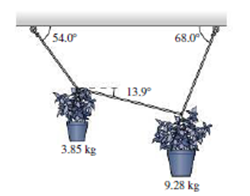 Chapter 5, Problem 73P, A florist asks you to make a window display with two hanging pots as shown in Fig. 5.38. The florist 