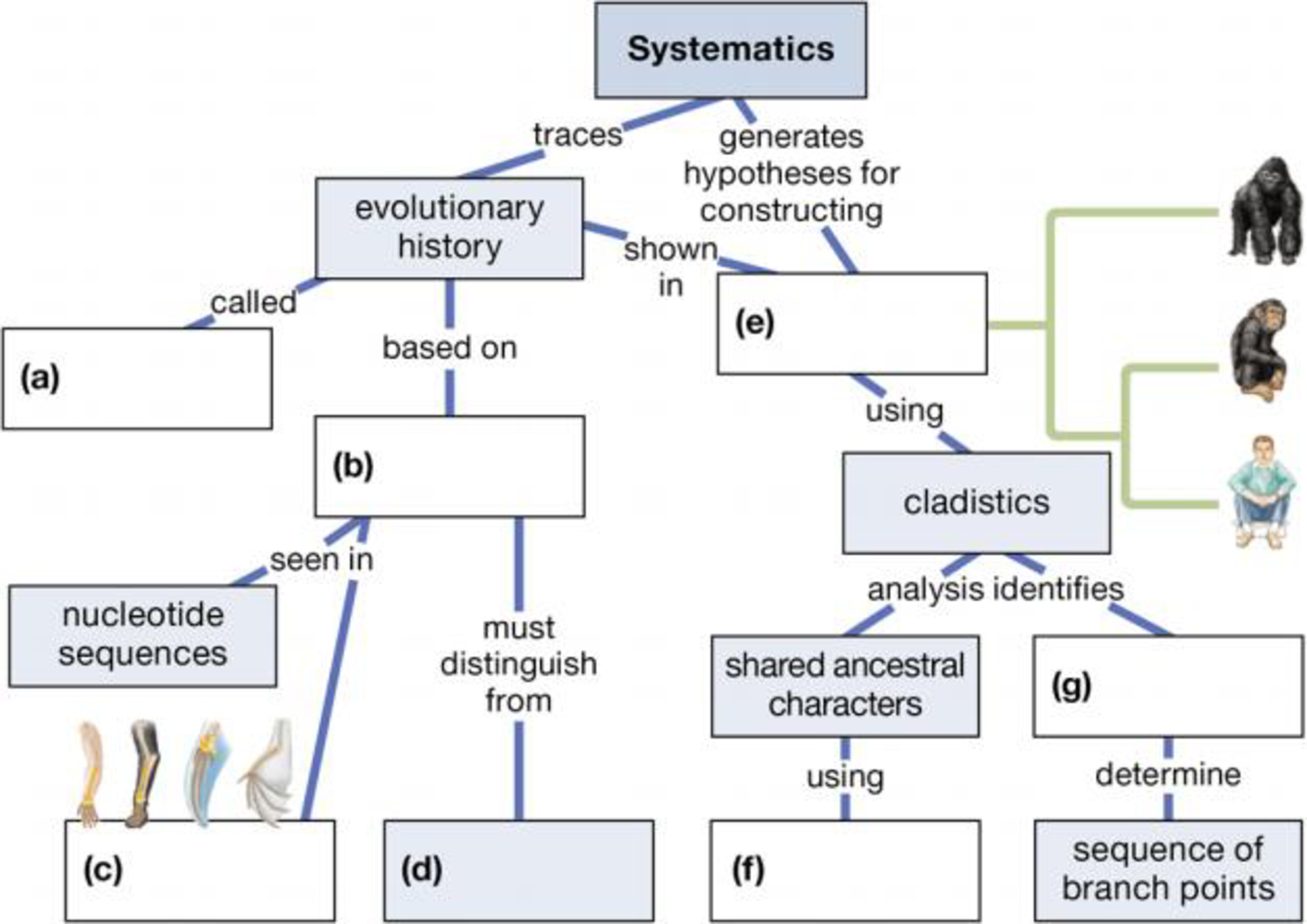 Chapter 15, Problem 2CC, Fill in this concept map about systematics. 