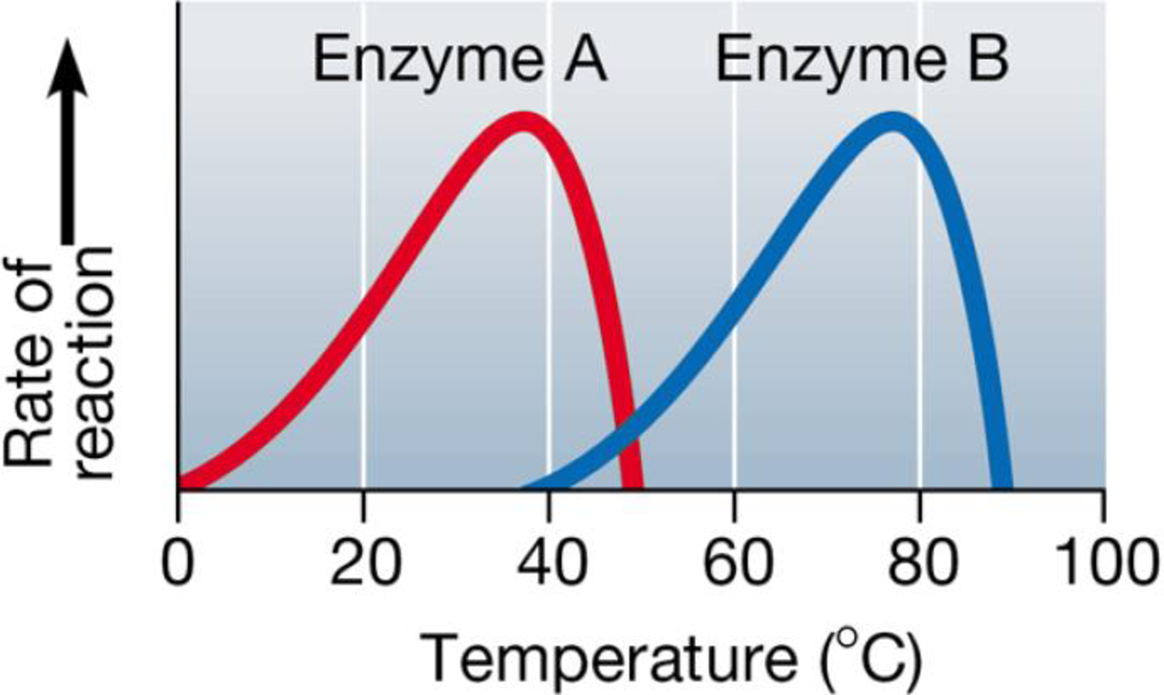 Chapter 3, Problem 16TYK, Enzymes usually function best at an optimal pH and temperature. The following graph shows the 